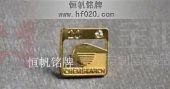 公司成立20周年慶典徽章,慶典紀念章